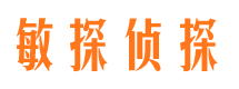 金沙市私家侦探